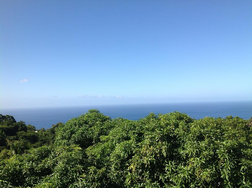 Villa Des Iles Basse-Terre Exterior photo